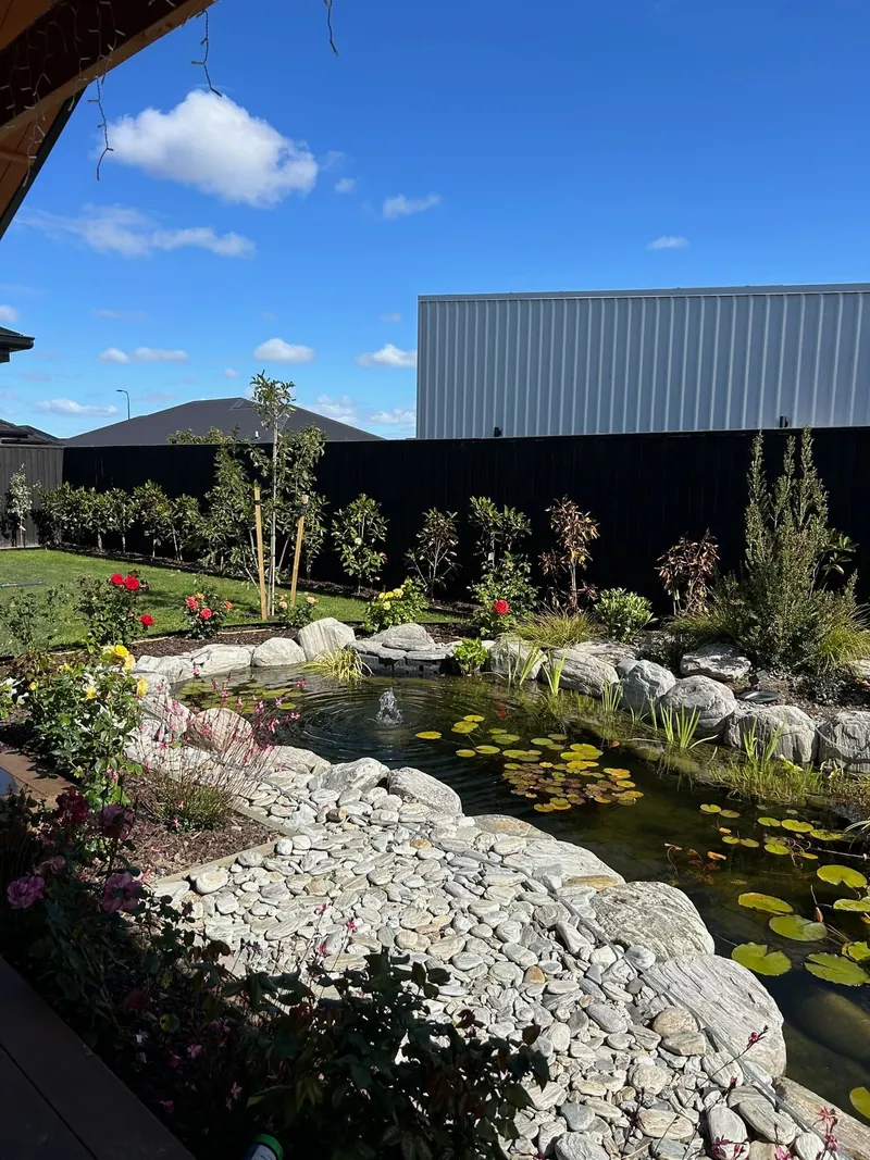 Pond and planting in a modern garden with black fencing and landscaping