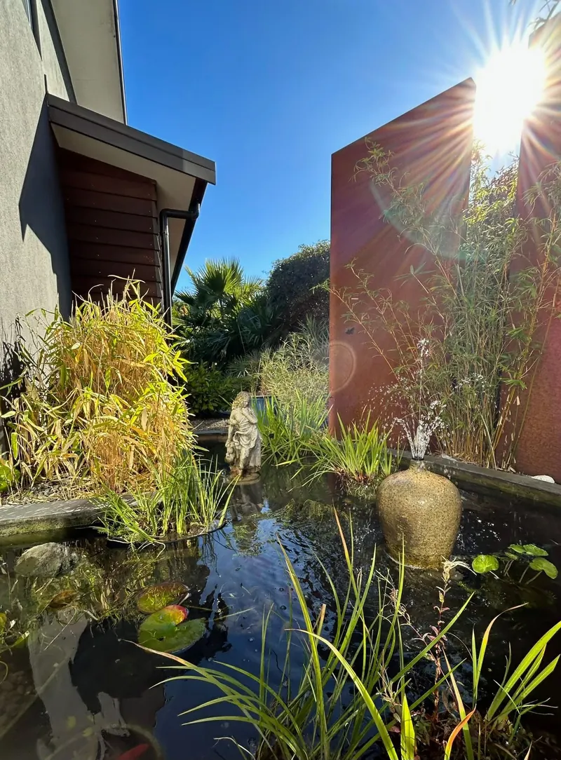 Pond and water feature in a contemporary garden setting
