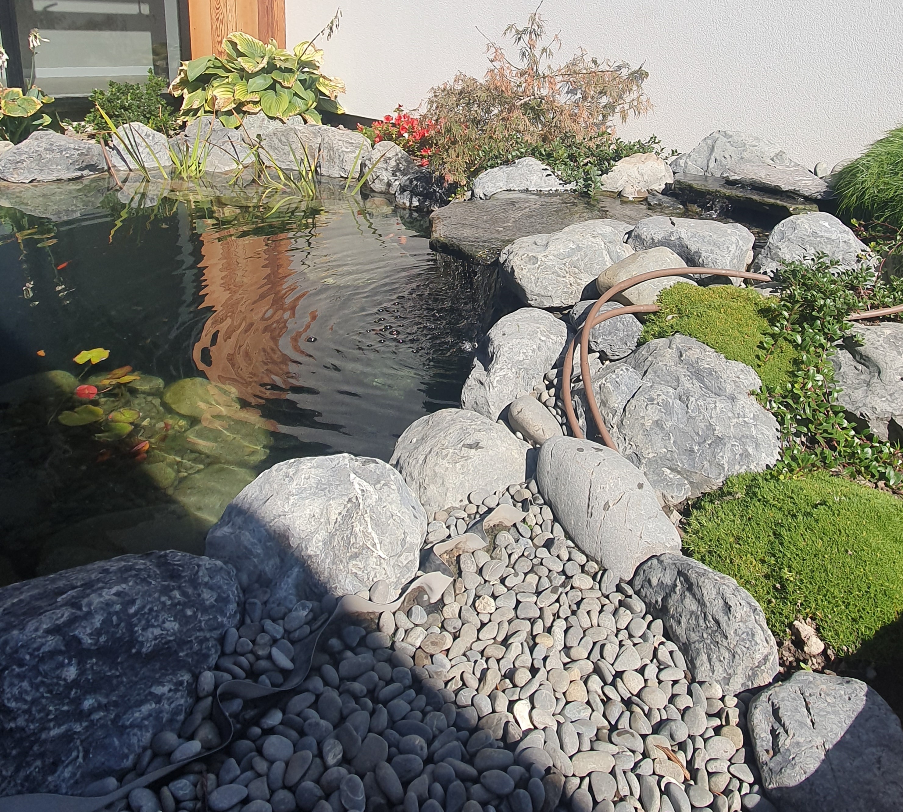 Gallery The Pond Company, Christchurch